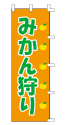 みかん狩り