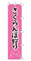 さくらんぼ狩り
