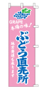 本場の味 ぶどう直売所