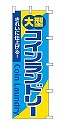 大型 コインランドリー