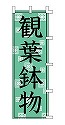 観葉鉢物