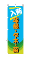 球根・タネ・苗入荷