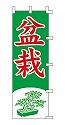 盆栽
