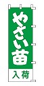 やさい苗 入荷