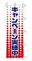 キャンペーン実施中